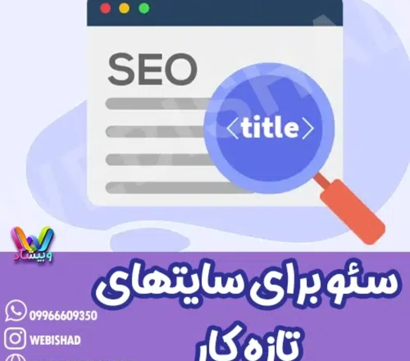 سئو برای سایتهای تازه کار